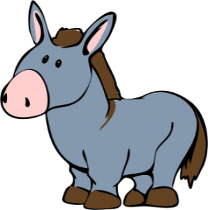 a cute donkey
